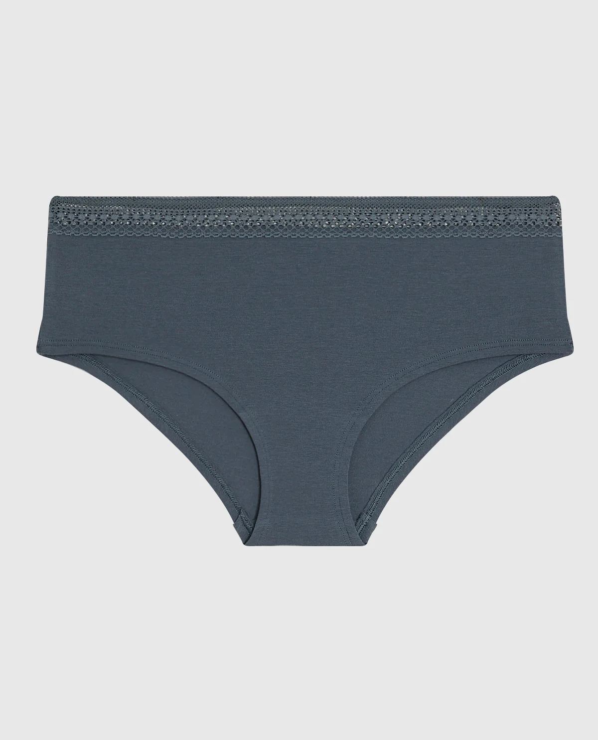 Hipster Panty with Elemental Lace in Stormy Weather - Image 4