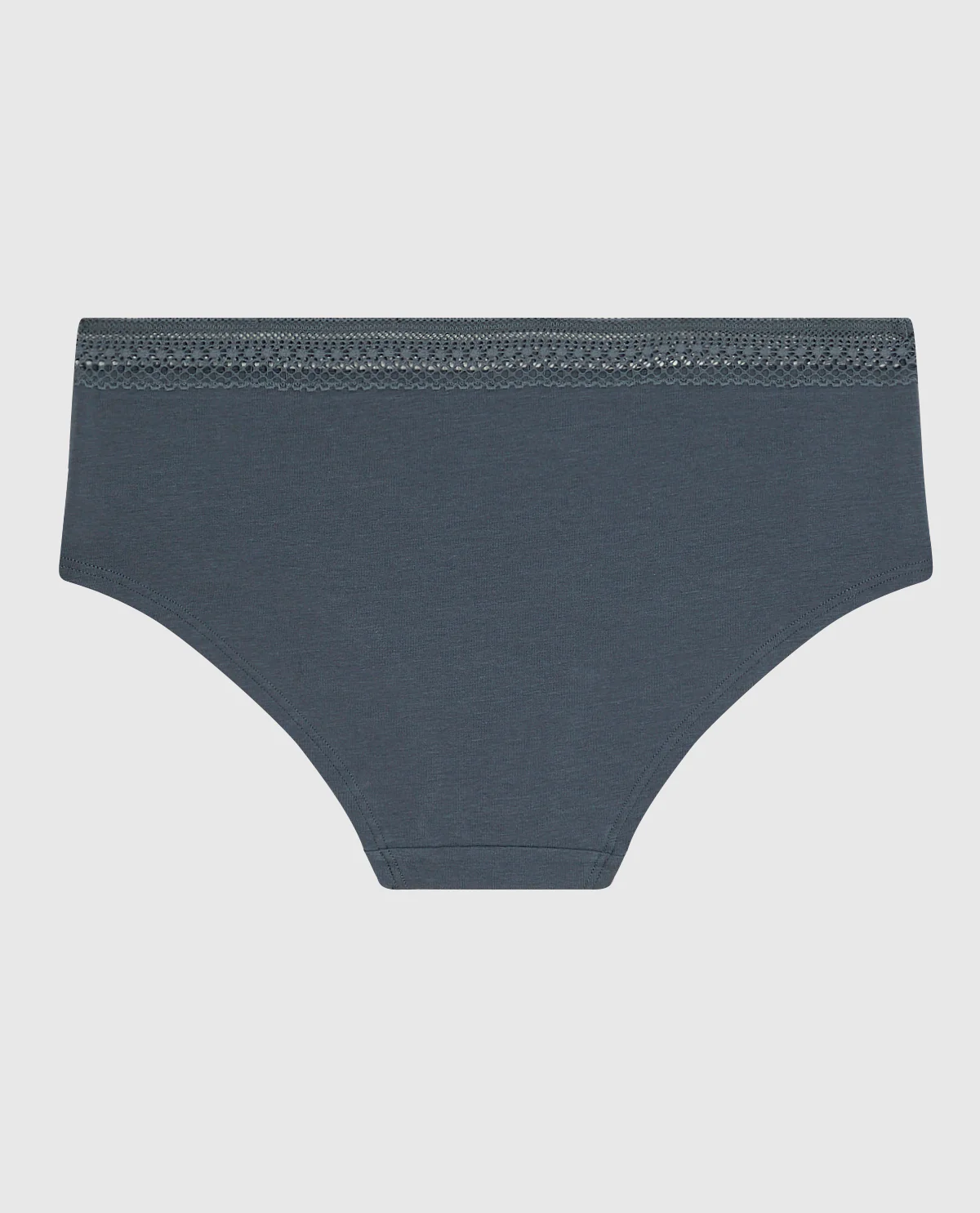Hipster Panty with Elemental Lace in Stormy Weather - Image 5