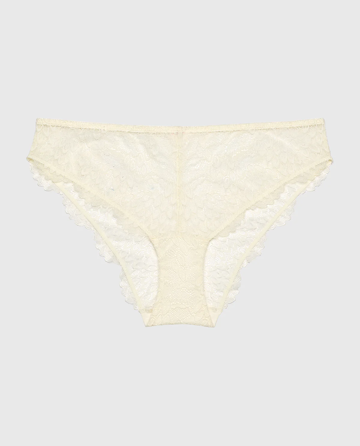Lace Brief in Gardenia - Image 4